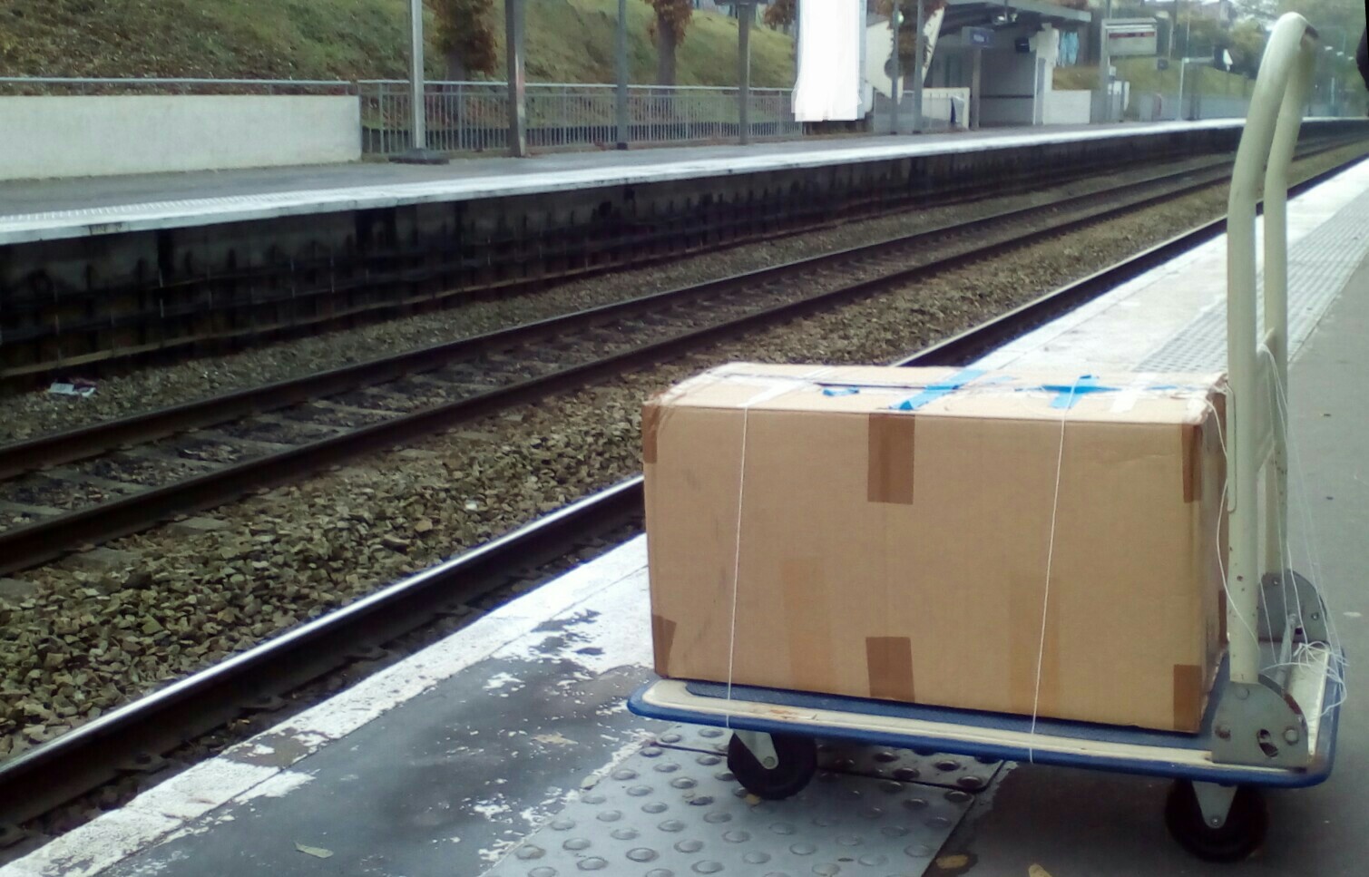 Boîte cartonnée posée sur un diable. L'ensemble se trouve sur un quai de gare RER, tout près des voies.