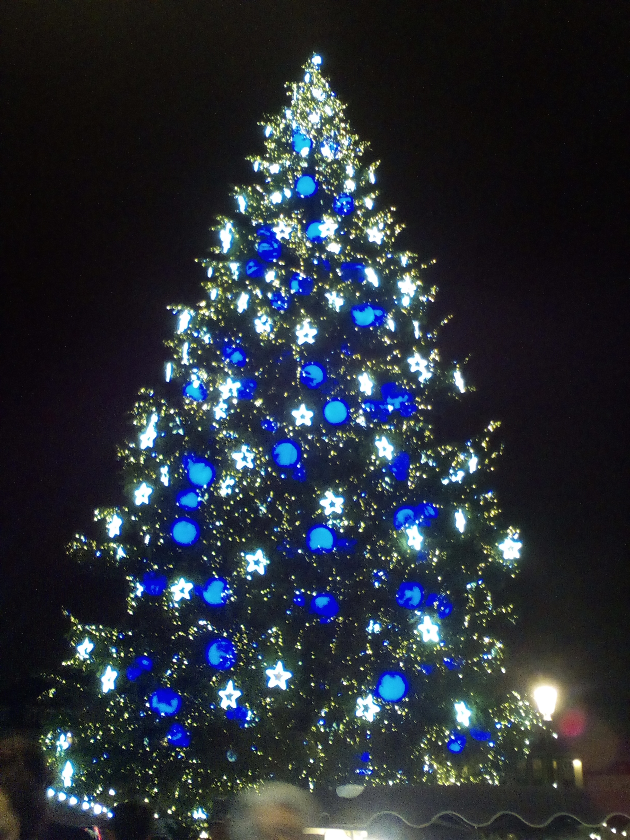 Énorme sapin de Noel, illuminé en bleu et blanc. Photo prise de nuit.
